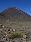 Tongariro_park_2