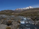 Tongariro_park_3